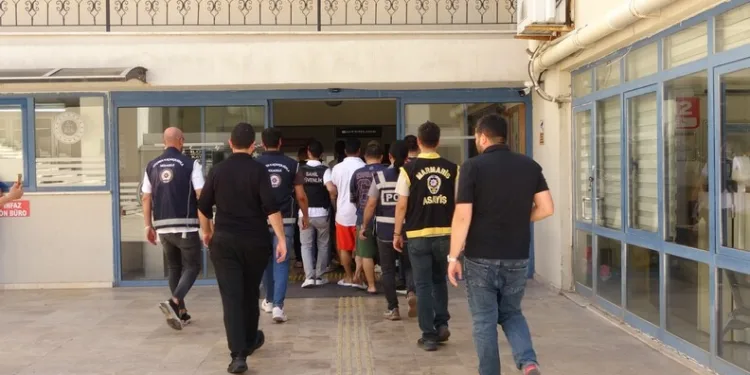 Otobanda yola fırlayan angus korku dolu anlar yaşattı