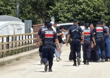 Otobanda yola fırlayan angus korku dolu anlar yaşattı
