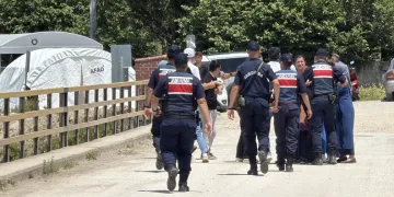 Otobanda yola fırlayan angus korku dolu anlar yaşattı