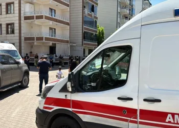 Otobanda yola fırlayan angus korku dolu anlar yaşattı