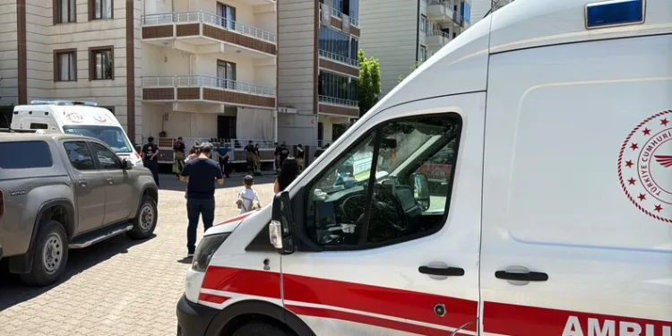Otobanda yola fırlayan angus korku dolu anlar yaşattı