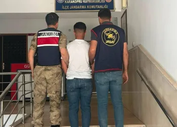 Otobanda yola fırlayan angus korku dolu anlar yaşattı