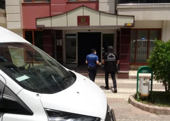 Otobanda yola fırlayan angus korku dolu anlar yaşattı