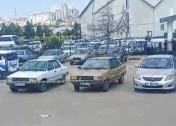 Otobanda yola fırlayan angus korku dolu anlar yaşattı
