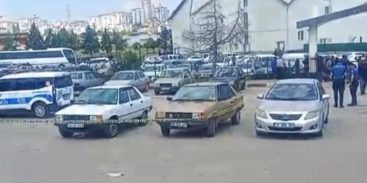 Otobanda yola fırlayan angus korku dolu anlar yaşattı