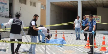 Otobanda yola fırlayan angus korku dolu anlar yaşattı