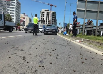 Kilis’te uyuşturucu operasyonları: 8 şüpheli tutuklandı