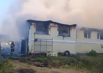 Kilis’te uyuşturucu operasyonları: 8 şüpheli tutuklandı