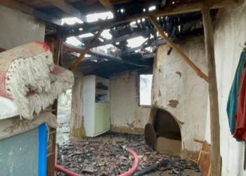Isparta’da kaçak elektronik sigara kartuşu operasyonu: Bin 970 paket ele geçirildi