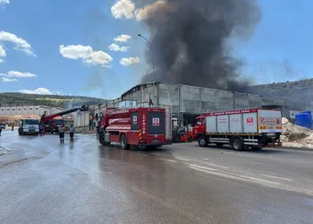 Isparta’da kaçak elektronik sigara kartuşu operasyonu: Bin 970 paket ele geçirildi