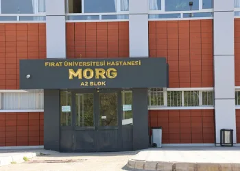 Isparta’da kaçak elektronik sigara kartuşu operasyonu: Bin 970 paket ele geçirildi
