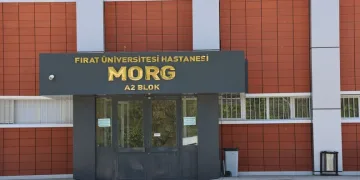 Isparta’da kaçak elektronik sigara kartuşu operasyonu: Bin 970 paket ele geçirildi