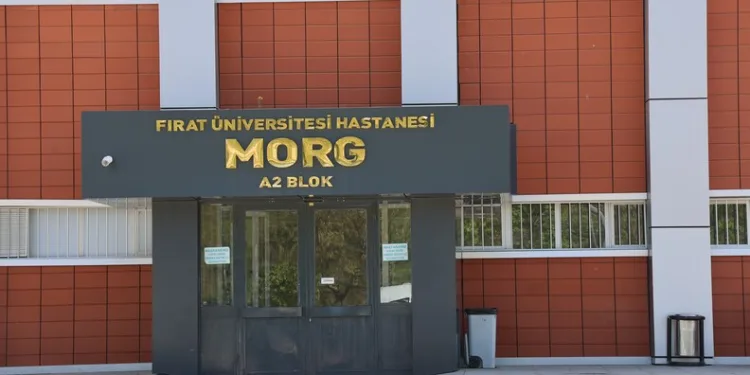 Isparta’da kaçak elektronik sigara kartuşu operasyonu: Bin 970 paket ele geçirildi