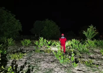 Sakarya’da savcı ile minibüs şoförünün trafikteki kavgası kamerada