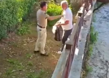 Denizli merkezli ‘Patates Hat’ operasyonunda 186 hat ele geçirildi