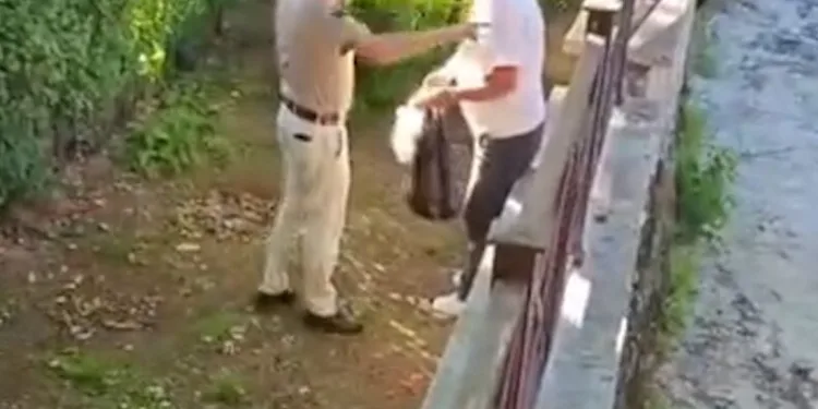 Denizli merkezli ‘Patates Hat’ operasyonunda 186 hat ele geçirildi