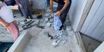 Denizli merkezli ‘Patates Hat’ operasyonunda 186 hat ele geçirildi
