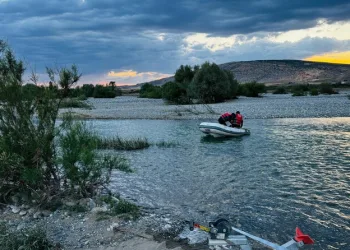 Denizli merkezli ‘Patates Hat’ operasyonunda 186 hat ele geçirildi