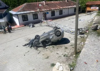 Denizli merkezli ‘Patates Hat’ operasyonunda 186 hat ele geçirildi