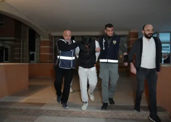 Denizli merkezli ‘Patates Hat’ operasyonunda 186 hat ele geçirildi