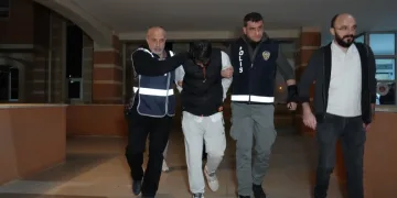 Denizli merkezli ‘Patates Hat’ operasyonunda 186 hat ele geçirildi