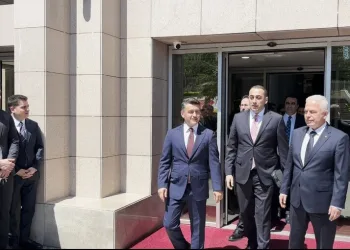 Denizli merkezli ‘Patates Hat’ operasyonunda 186 hat ele geçirildi