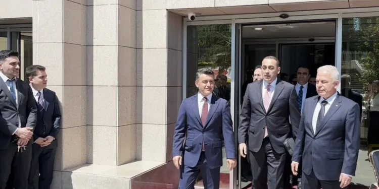 Denizli merkezli ‘Patates Hat’ operasyonunda 186 hat ele geçirildi