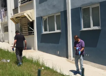 Denizli merkezli ‘Patates Hat’ operasyonunda 186 hat ele geçirildi