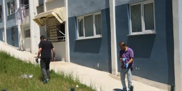 Denizli merkezli ‘Patates Hat’ operasyonunda 186 hat ele geçirildi