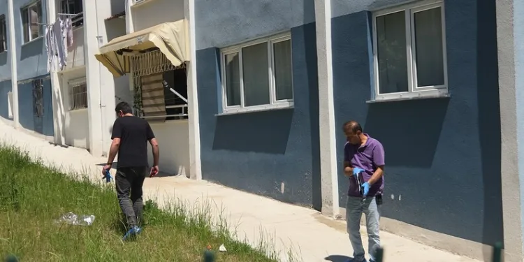 Denizli merkezli ‘Patates Hat’ operasyonunda 186 hat ele geçirildi