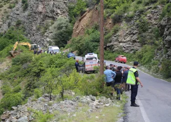 Denizli merkezli ‘Patates Hat’ operasyonunda 186 hat ele geçirildi