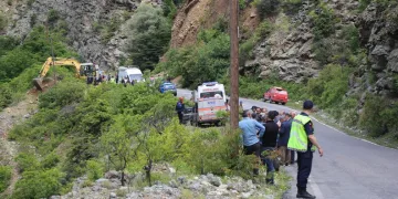 Denizli merkezli ‘Patates Hat’ operasyonunda 186 hat ele geçirildi