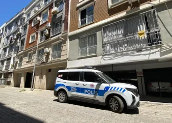 Denizli merkezli ‘Patates Hat’ operasyonunda 186 hat ele geçirildi