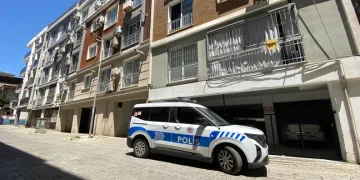 Denizli merkezli ‘Patates Hat’ operasyonunda 186 hat ele geçirildi