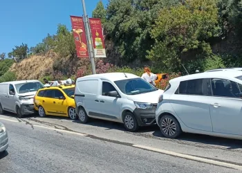Denizli merkezli ‘Patates Hat’ operasyonunda 186 hat ele geçirildi
