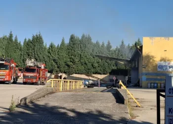 Otomobilin çarptığı 6 yaşındaki çocuk hayatını kaybetti, ailenin feryatları yürek dağladı