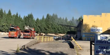 Otomobilin çarptığı 6 yaşındaki çocuk hayatını kaybetti, ailenin feryatları yürek dağladı
