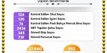 Osmaniye’de çınar ağacı, halk otobüsünün üzerine düştü: Saniyelerle kurtuldu