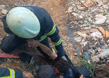 Osmaniye’de çınar ağacı, halk otobüsünün üzerine düştü: Saniyelerle kurtuldu