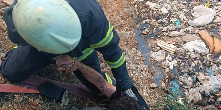 Osmaniye’de çınar ağacı, halk otobüsünün üzerine düştü: Saniyelerle kurtuldu