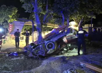 Osmaniye’de çınar ağacı, halk otobüsünün üzerine düştü: Saniyelerle kurtuldu