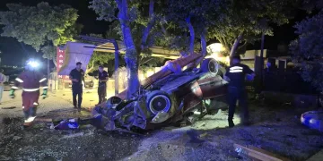 Osmaniye’de çınar ağacı, halk otobüsünün üzerine düştü: Saniyelerle kurtuldu