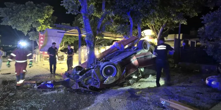 Osmaniye’de çınar ağacı, halk otobüsünün üzerine düştü: Saniyelerle kurtuldu