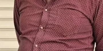 Osmaniye’de çınar ağacı, halk otobüsünün üzerine düştü: Saniyelerle kurtuldu