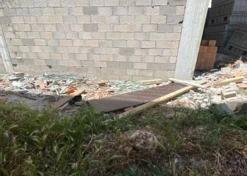 Osmaniye’de çınar ağacı, halk otobüsünün üzerine düştü: Saniyelerle kurtuldu