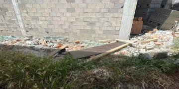 Osmaniye’de çınar ağacı, halk otobüsünün üzerine düştü: Saniyelerle kurtuldu