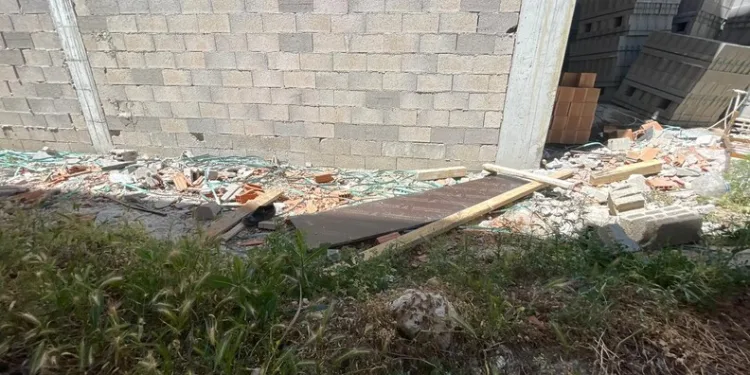 Osmaniye’de çınar ağacı, halk otobüsünün üzerine düştü: Saniyelerle kurtuldu