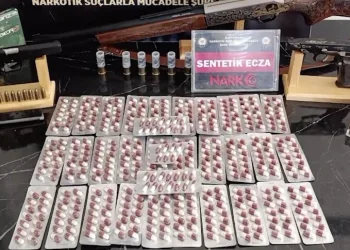 Osmaniye’de çınar ağacı, halk otobüsünün üzerine düştü: Saniyelerle kurtuldu