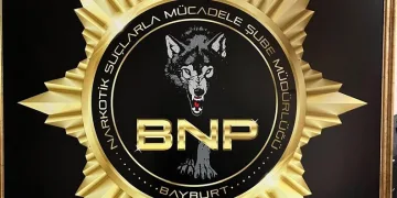 Osmaniye’de çınar ağacı, halk otobüsünün üzerine düştü: Saniyelerle kurtuldu
