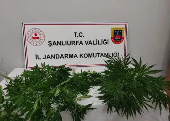 Manavgat’ta otelde klor gazı sızıntısından 25 kişi etkilendi